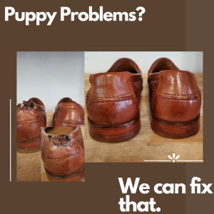 Gus And Company Shoe and Luggage Repair photo 9